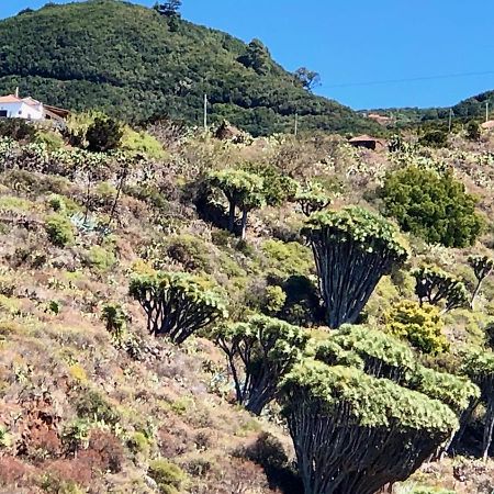 Casa Rural Los Barranquitos Garafía Εξωτερικό φωτογραφία