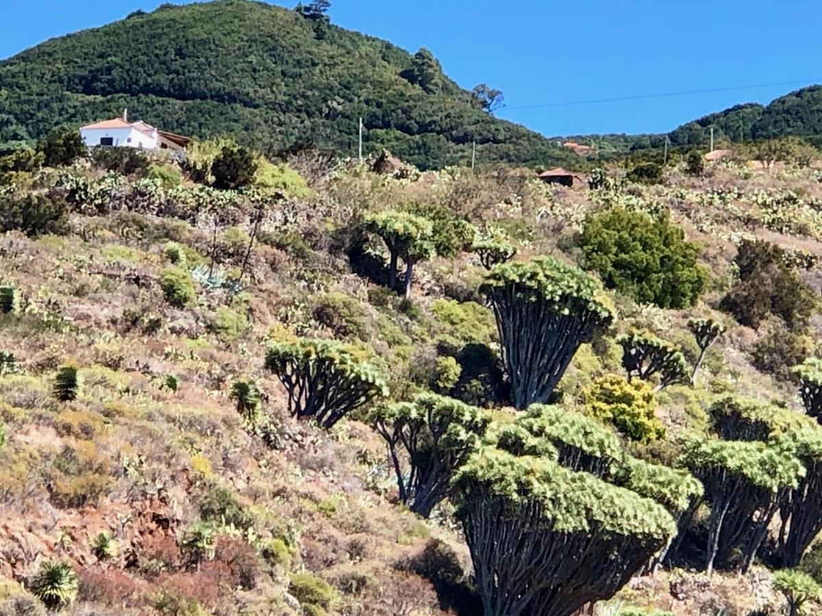 Casa Rural Los Barranquitos Garafía Εξωτερικό φωτογραφία